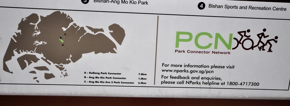 Bishan Park 2013_00129